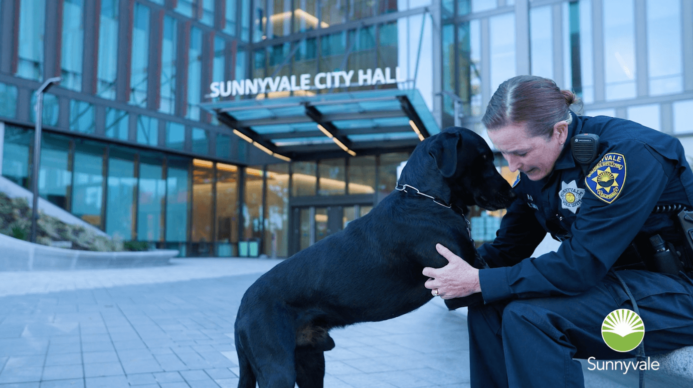 sunnyvale 4
